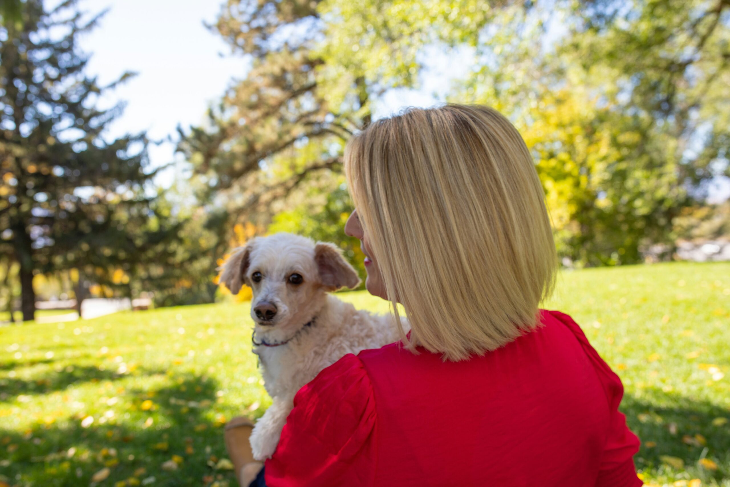 An infographic showing common causes of pet hearing loss and associated costs