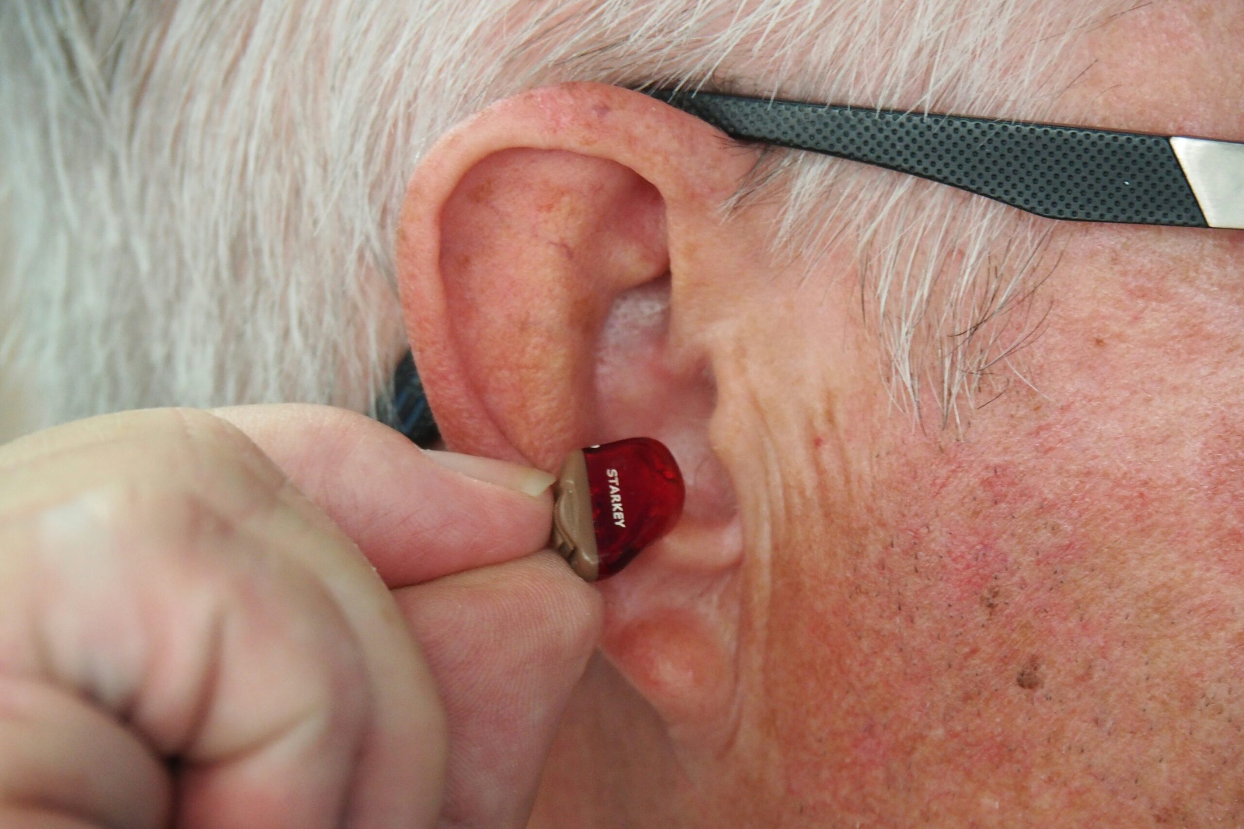 hearing aid for pets