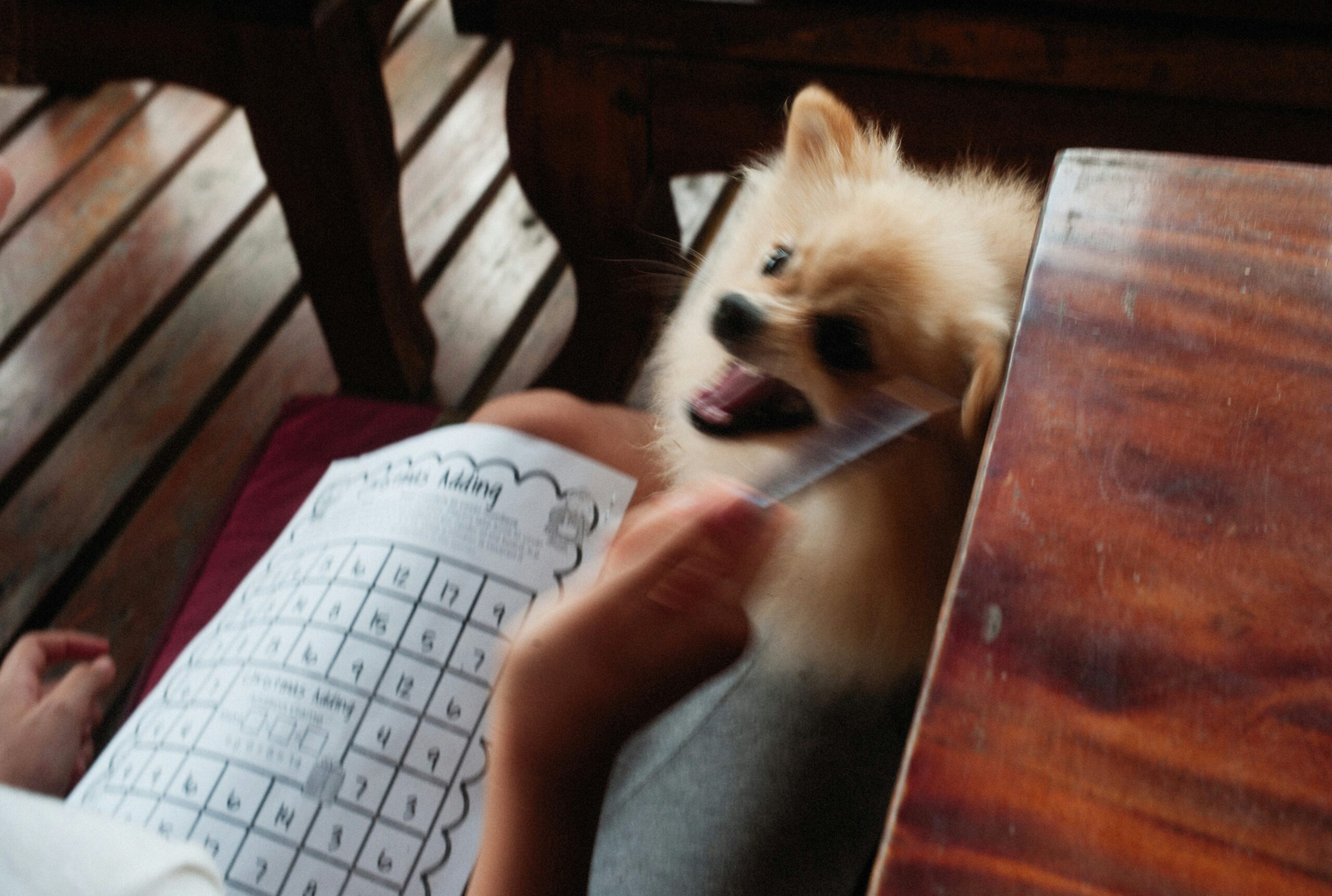 Illustration of a puzzled pet owner holding a clipboard with charts