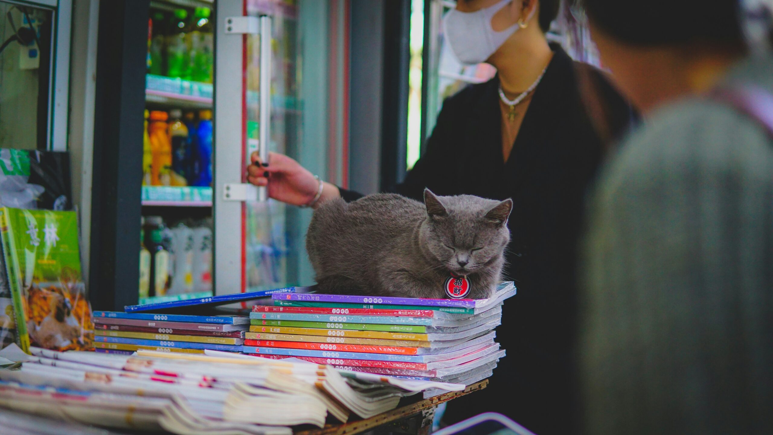 Pet Insurance Policy next to stack of documents