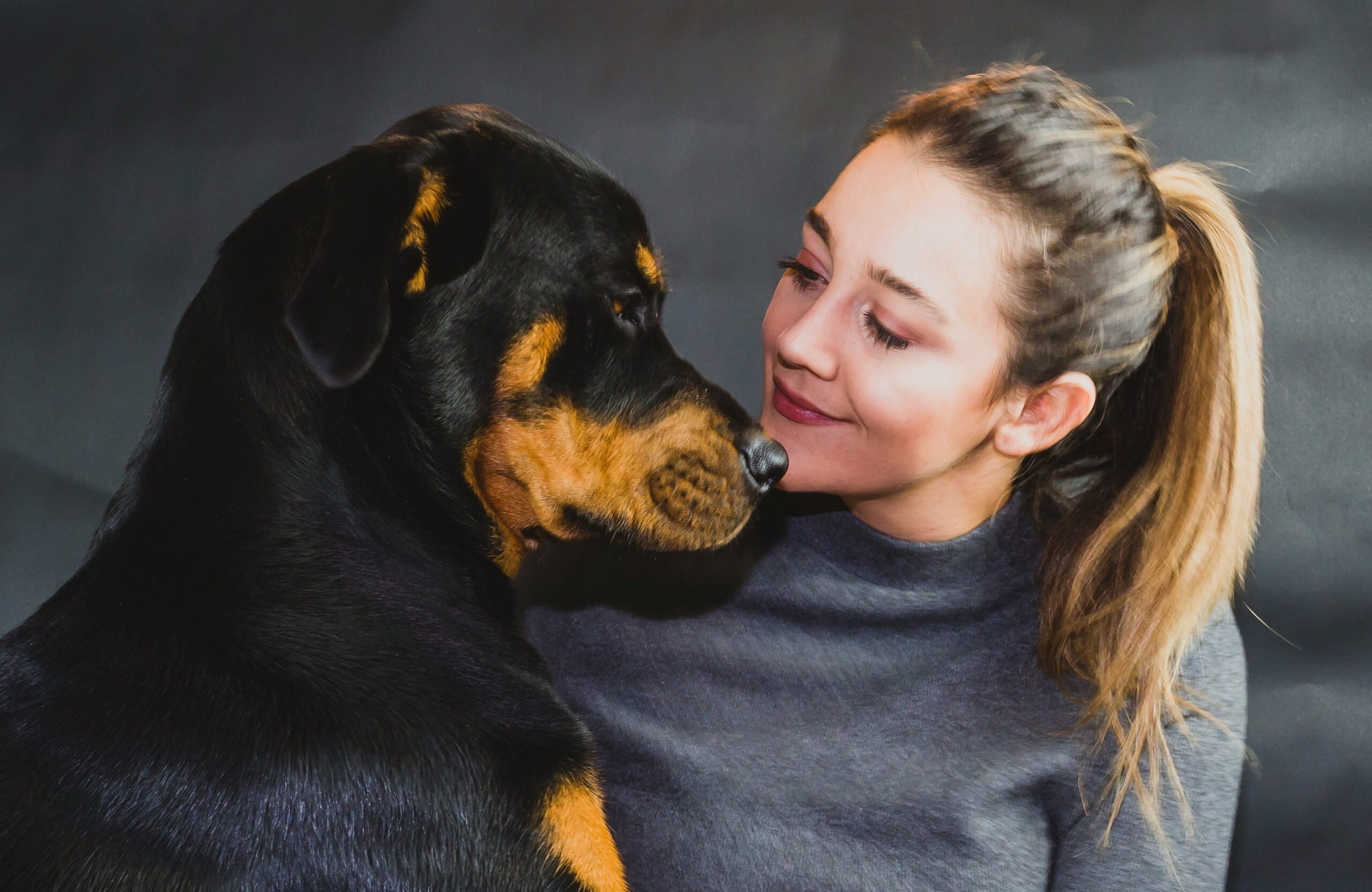 Cat Hearing Training Coverage: Does Your Feline Friend Need It?