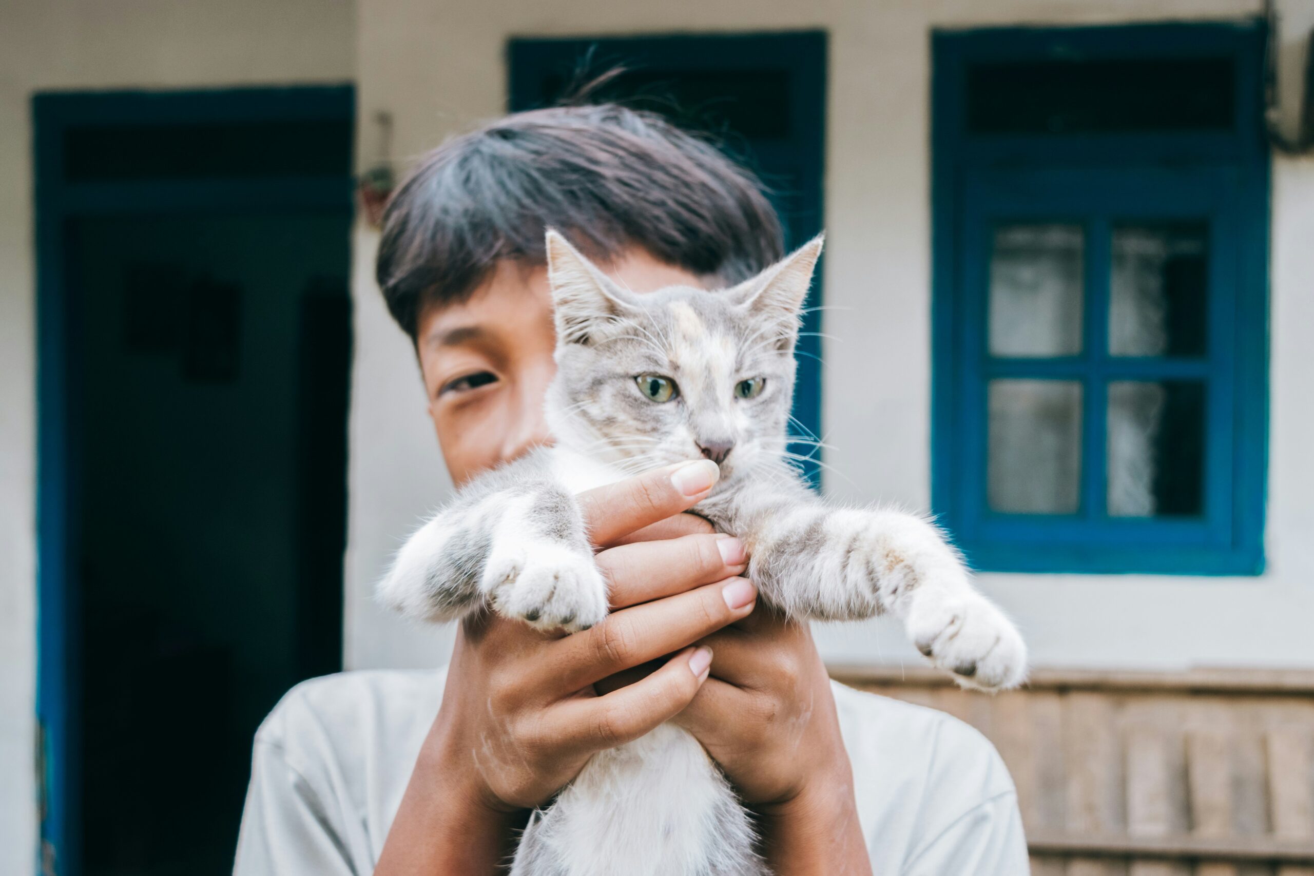Does Your Cat Need Hearing Aid Coverage? Unpacking Everything About Cat Hearing Aid Coverage