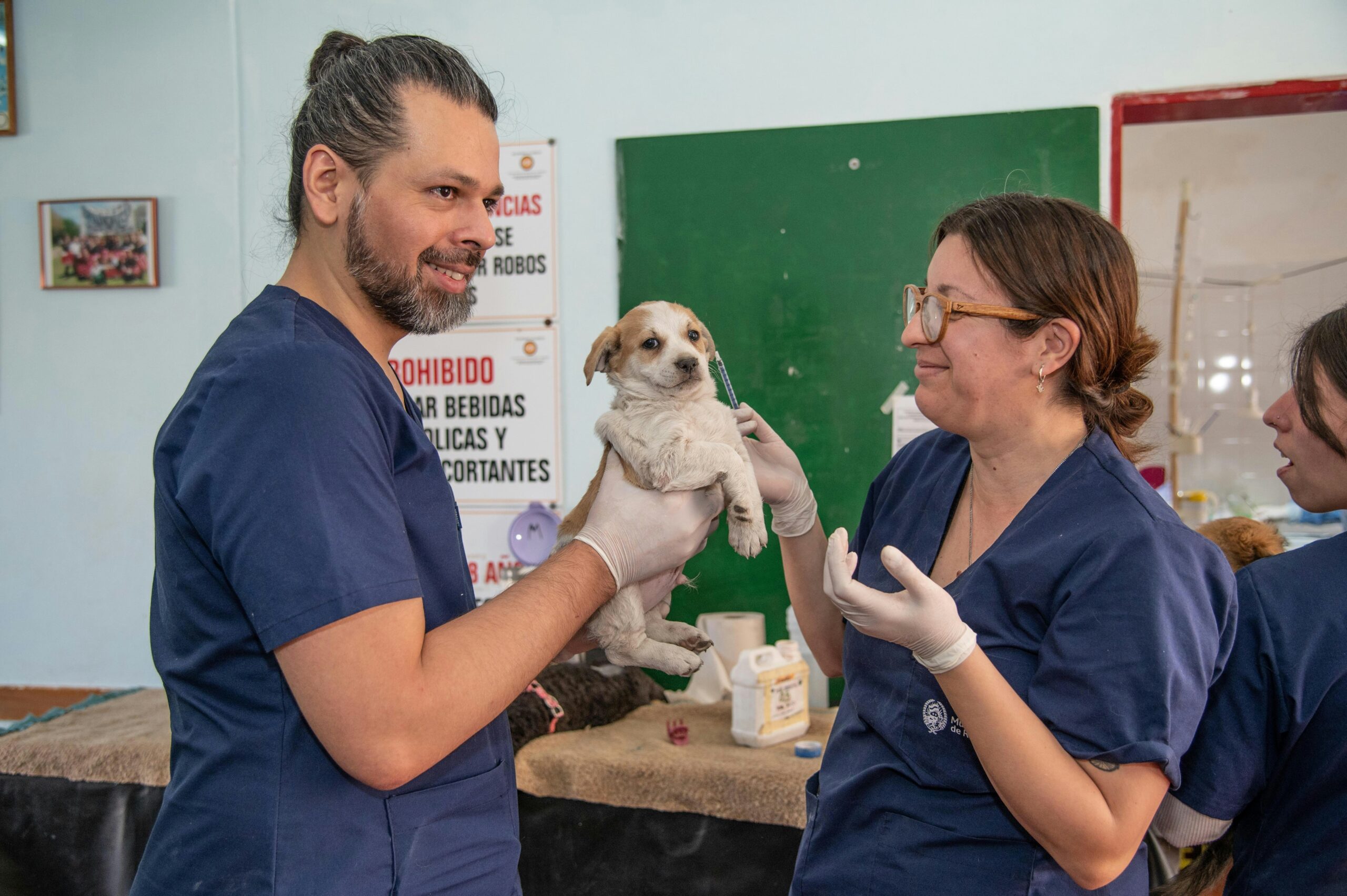 Dog Hearing Test Insurance: Why Every Pet Parent Should Consider It