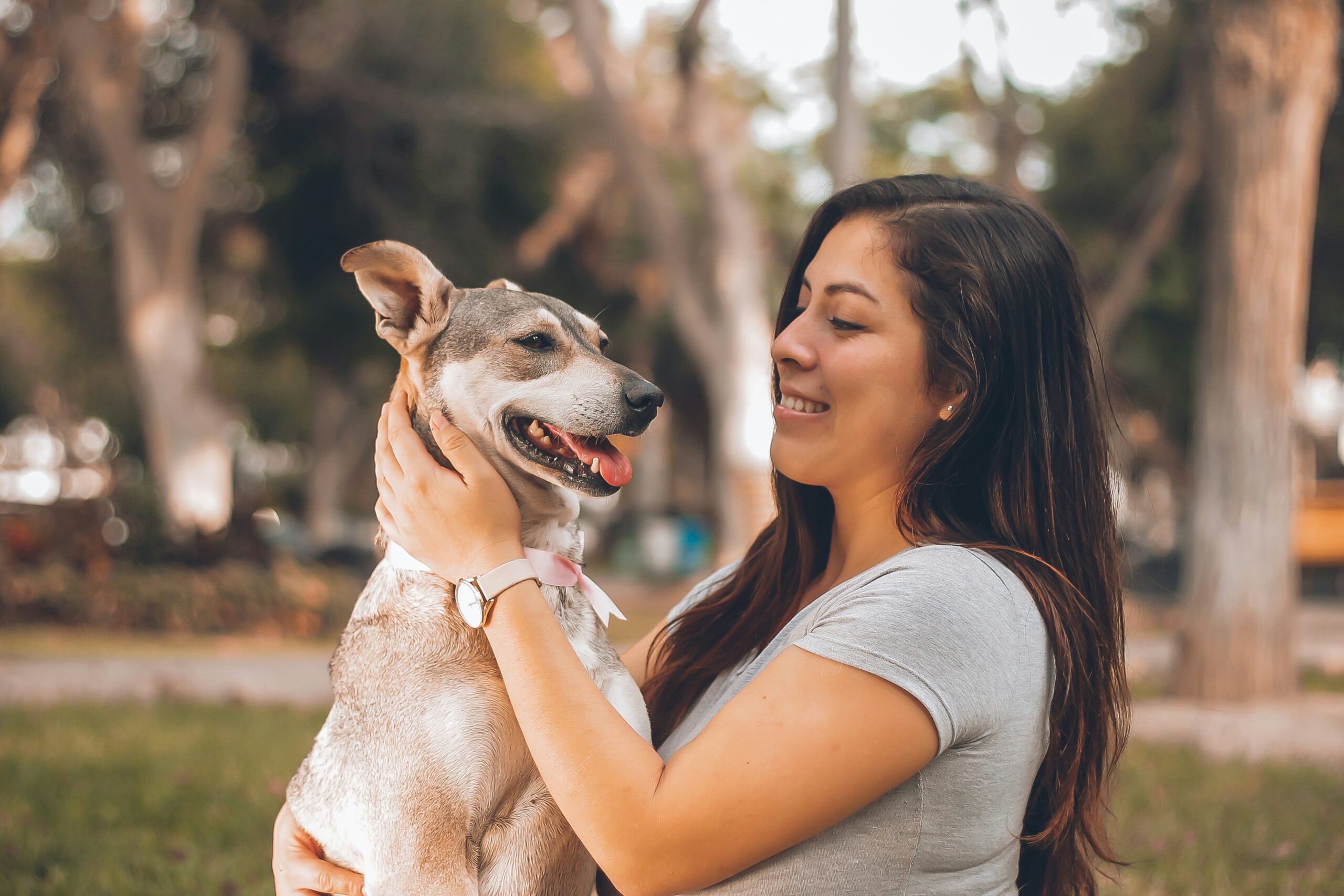 Dog Hearing Training Insurance: The Ultimate Guide to Protect Your Pup’s Ears