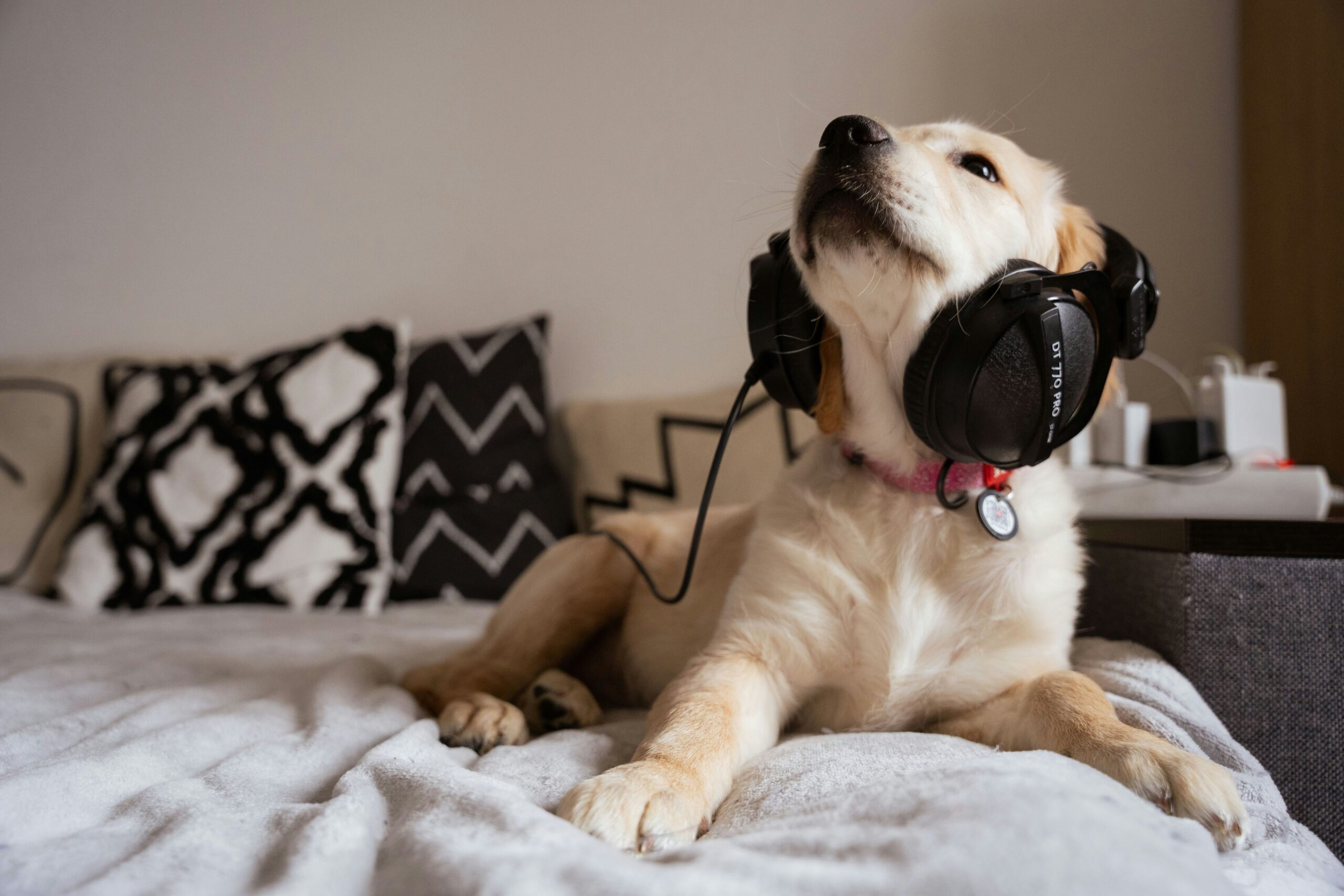 Happy pet owner hugging her dog after receiving a new hearing device