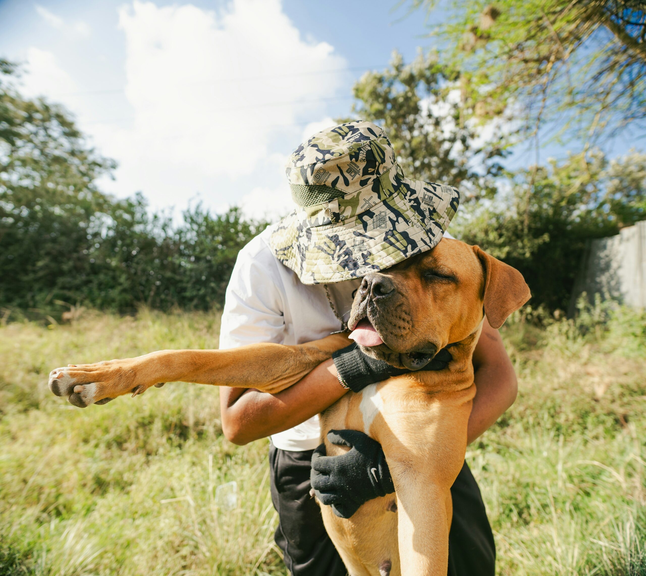 Infographic showing average savings from having pet insurance