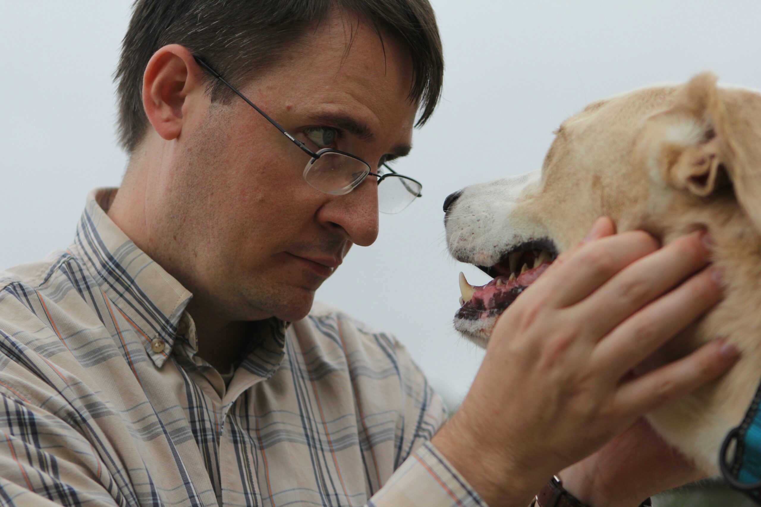Infographic showing statistics about pets and hearing loss