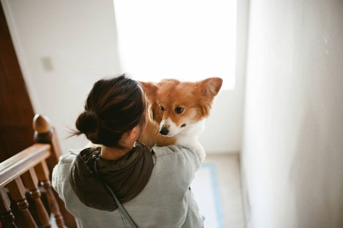 A trainer using clickers during a dog hearing exercise