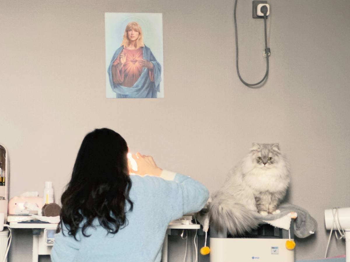 A veterinarian conducting a hearing test on a small dog.