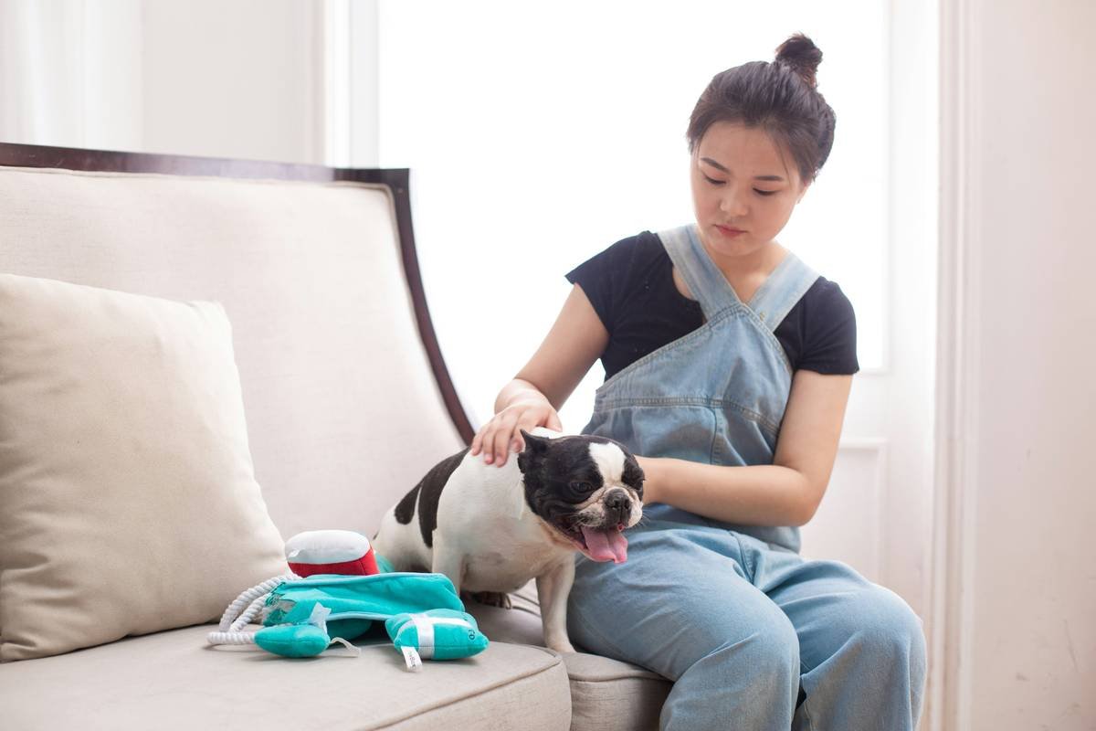 Pet Insurance Hearing Test Policy: Everything You Need to Know About Protecting Your Furry Friend's Ears