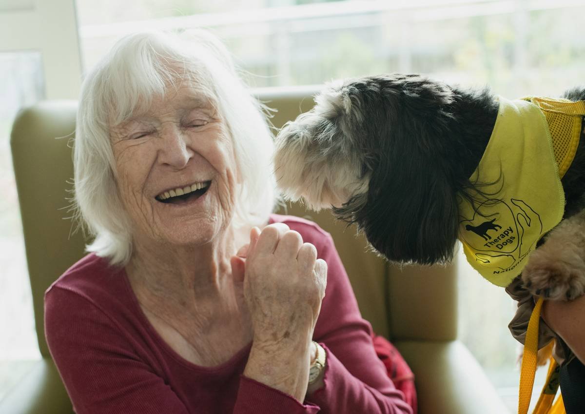 Bar chart showing that only 3% of U.S. pet insurers cover canine hearing aids as of 2024