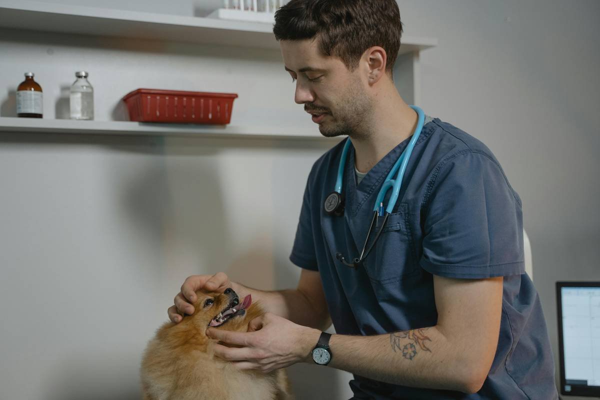 Can You File a Pet Insurance Hearing Training Claim? Here’s What You Need to Know