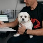 What Are the Real Hearing Training Pet Insurance Benefits? (And Why You’re Probably Overlooking Them)