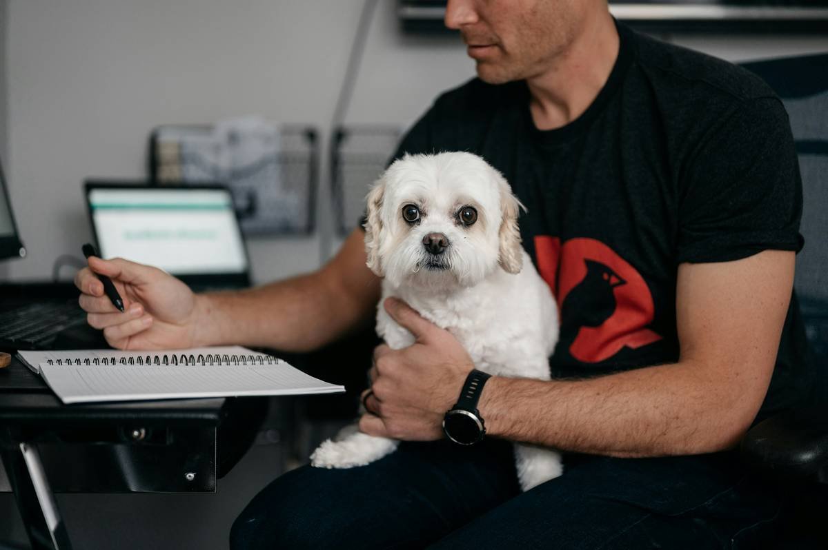 What Are the Real Hearing Training Pet Insurance Benefits? (And Why You’re Probably Overlooking Them)